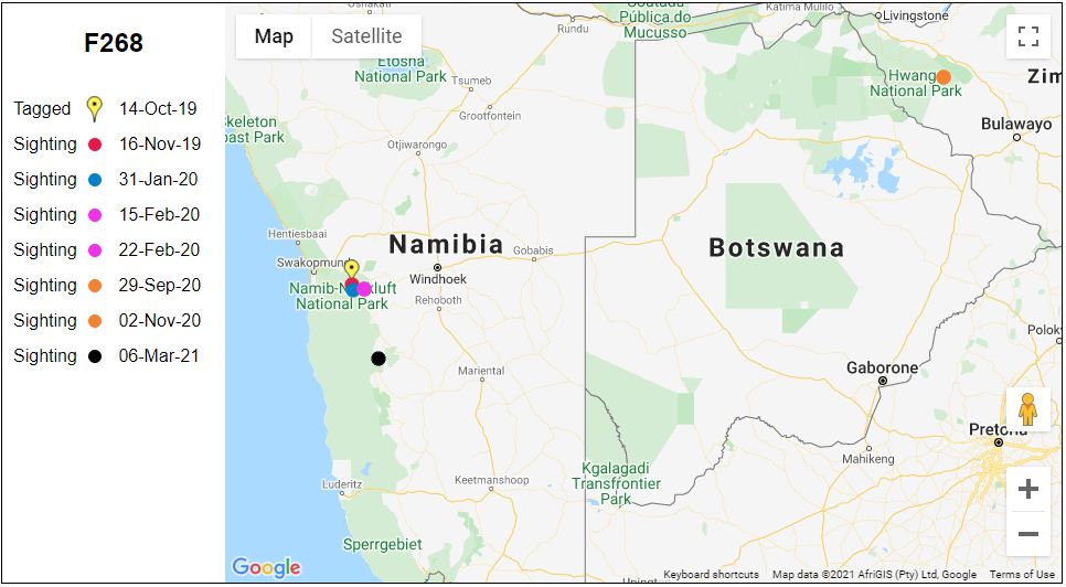 Map showing sightings of vulture with tag number F268